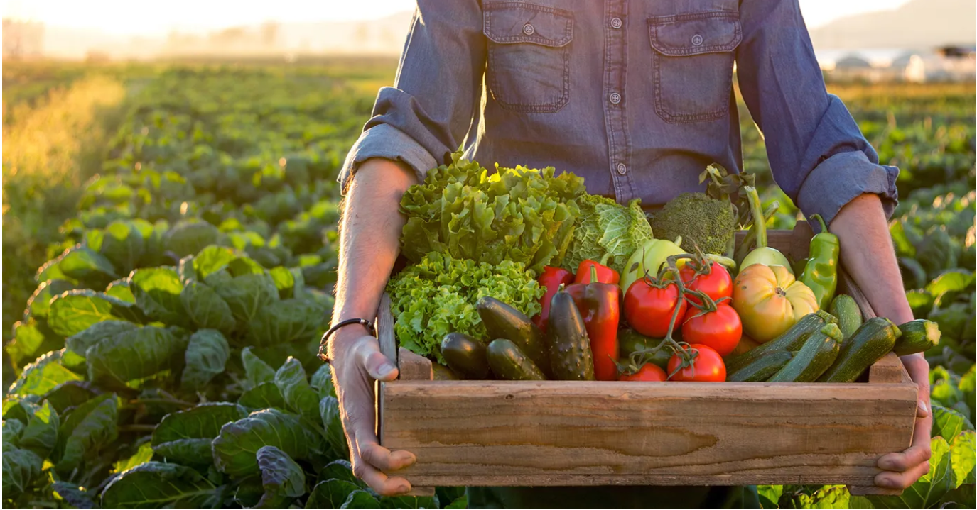 Radionics Agriculture Course